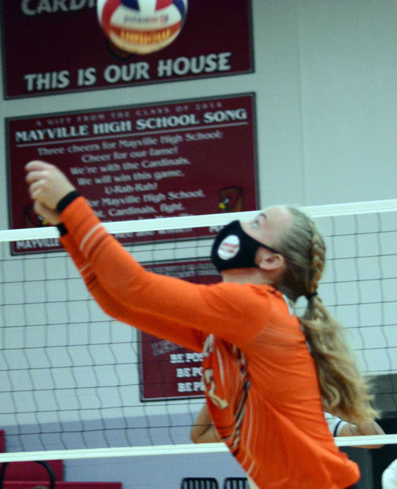 Natalie Boehmer.jpg